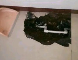 白城市卫生间测漏水多少钱